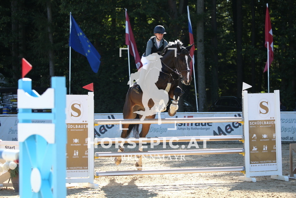 DL2Q2811 | Willkommen bei Brunnmayr - Design & Fotografie – Ihrem Spezialisten für Reitturniere und Pferdeveranstaltungen in Oberösterreich, Salzburg und Bayern! Seit über 17 Jahren sind wir leidenschaftlich dabei.