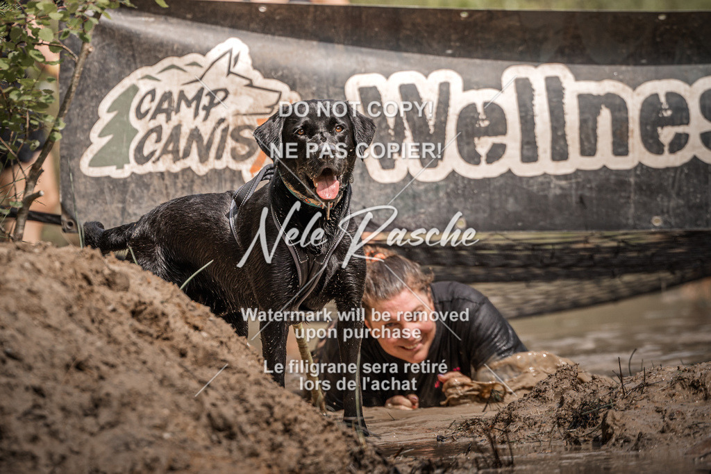 nelerasche_Hoope2026_Sa1100-1130_308 | nelerasche