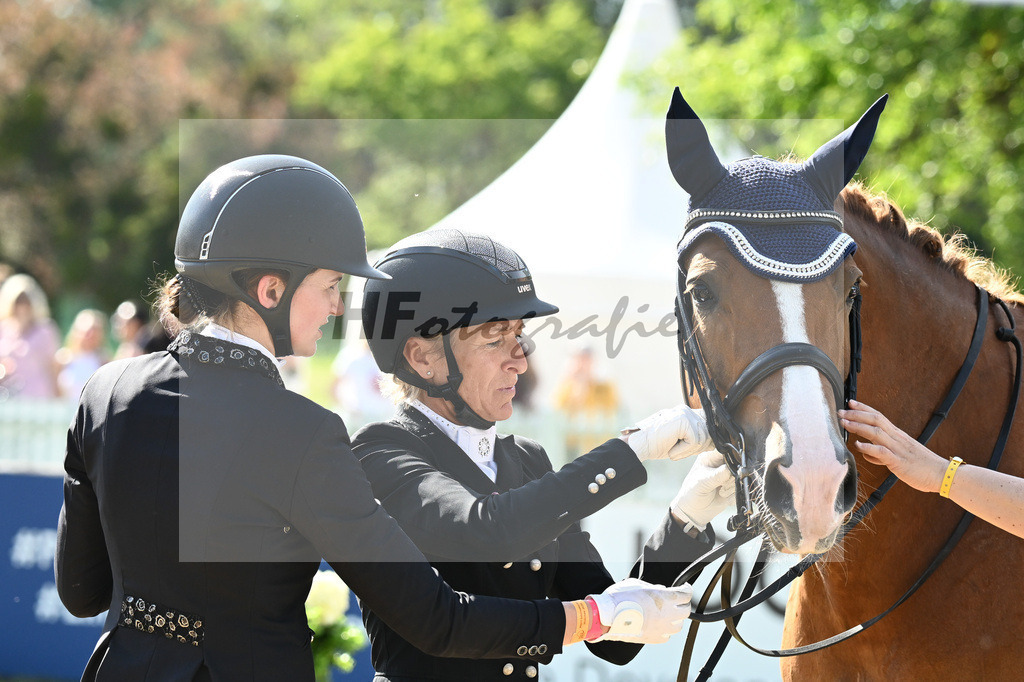 Klimke_Lion King_12244726 | hf-fotografie - Realisiert mit Pictrs.com