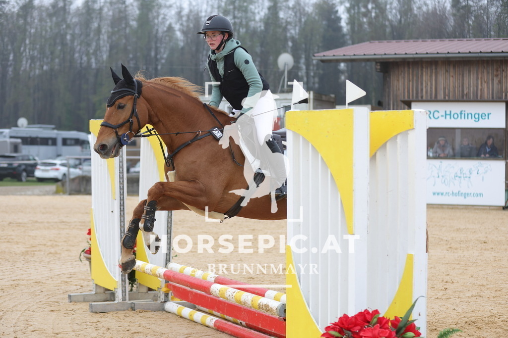0P6A8402 | Willkommen bei Brunnmayr - Design & Fotografie – Ihrem Spezialisten für Reitturniere und Pferdeveranstaltungen in Oberösterreich, Salzburg und Bayern! Seit über 17 Jahren sind wir leidenschaftlich dabei.