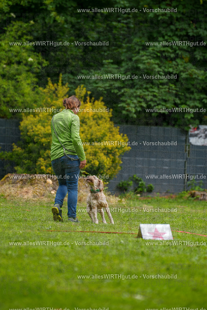 @allesWIRTHgut_Tierfotografie - www.allesWIRTHgut.de - 092442-7R507087 | Professionelle Tierfotografie in Mönchengladbach von Daniel Wirth (allesWIRTHgut). Liebevolle & natürliche Bilder von Hunden & Katzen für unvergessliche Erinnerungen.