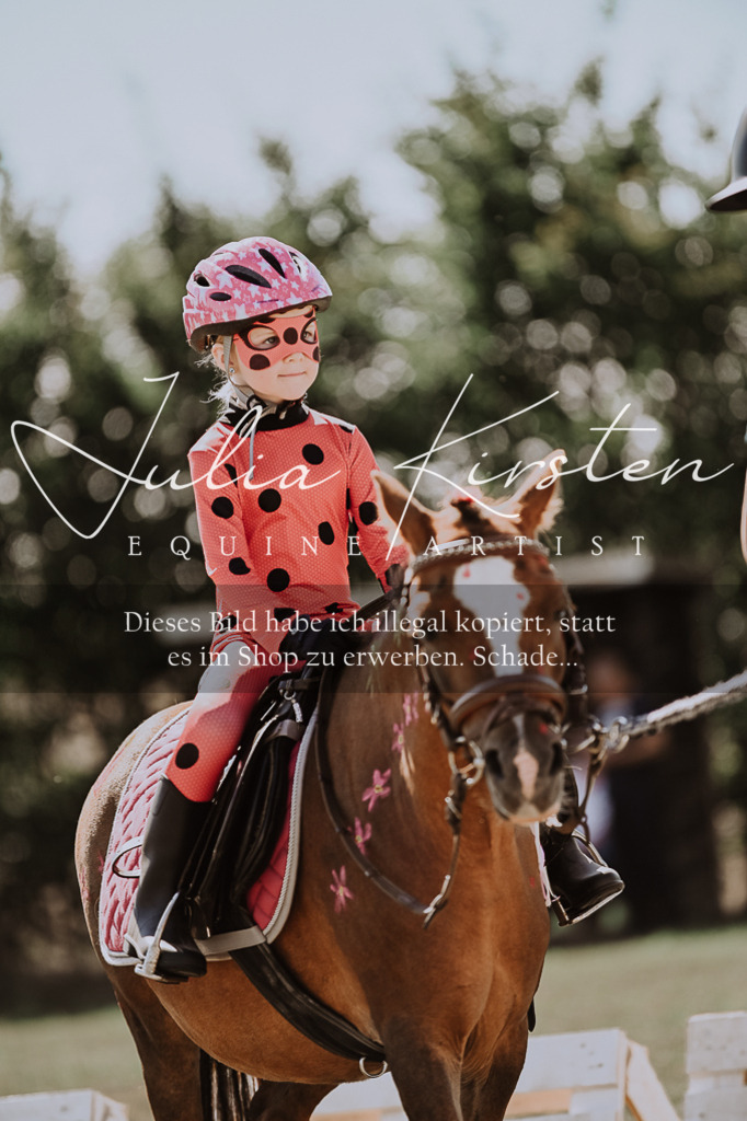 DSC_8893 | Pferde- und Turnierfotografie in Westsachsen. Pferdeportraits, Auftragszeichnungen und intuitive Kunst.