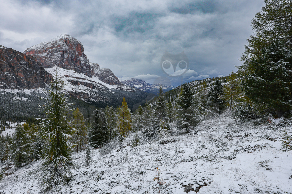 R5M29538_20251005 | Dieses Querformatbild zeigt eine majestätische Berglandschaft in den Dolomiten, eingetaucht in eine frühe Winterstimmung. Im Vordergrund und Mittelgrund erstrecken sich sanft ansteigende, frisch verschneite Hänge, bewachsen mit einer Mischung aus dunkelgrünen Nadelbäumen und einigen Lärchen, deren Nadeln noch leicht gelblich schimmern und vom Schnee bedeckt sind. Links dominiert ein imposanter, schneebedeckter Dolomitengipfel mit seinen charakteristischen rötlich-grauen Felswänden die Szenerie. Im Hintergrund erstreckt sich ein Tal, das zu weiteren schneebedeckten Berggipfeln führt, die sich unter einem dramatischen, wolkenverhangenen Himmel abzeichnen. Die dichte Wolkendecke verleiht der Szene eine mystische und zugleich raue Atmosphäre. - Realisiert mit Pictrs.com