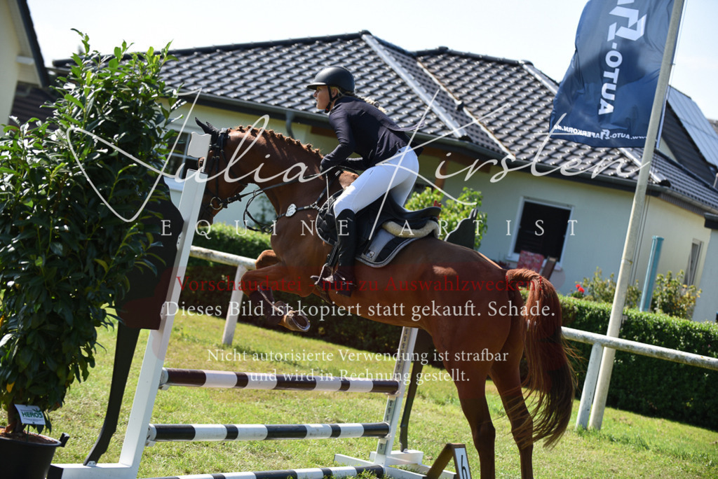 DSC_9225 | Pferde- und Turnierfotografie in Westsachsen. Pferdeportraits, Auftragszeichnungen und intuitive Kunst.