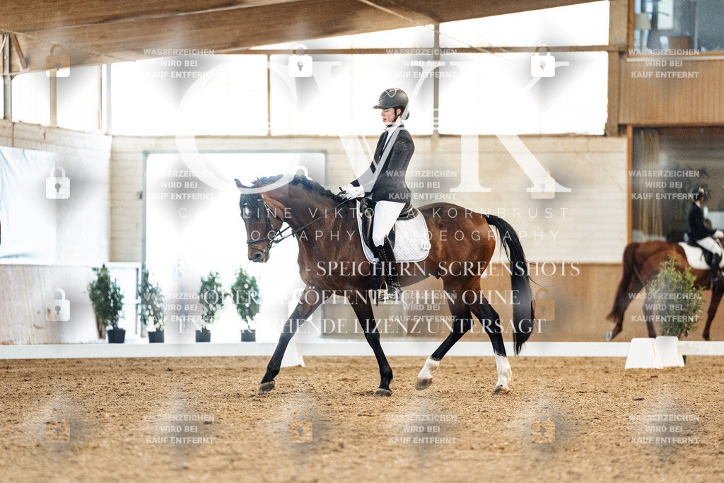 CK908548 | Turnierfotografie Pferdefotografie Trier Rheinland-Pfalz Pferdesport Reitsport Tierfotografie Sportfotografie Pferdevideo Pferdevideografie Equestrianvideography equestrianphotography  - Realisiert mit Pictrs.com