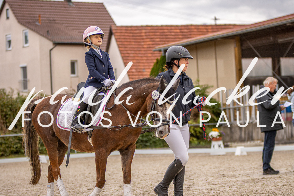 IMG_3958 | Erleben Sie dynamische Sport- und emotionale Tierfotografie in Süddeutschland mit Fotos von Paula. Spezialisiert auf Pferde- und Hundefotografie sowie Sportevents. Kontaktieren Sie mich für einzigartige und ausdrucksstarke Bilder Ihrer besonderen Momente.