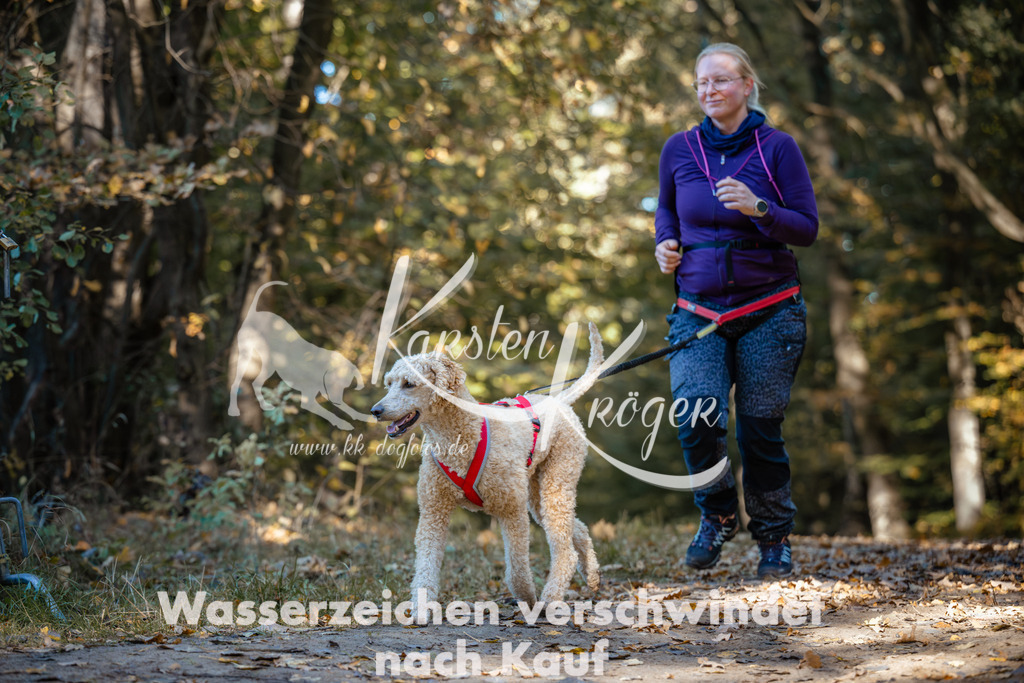 1045_ZZ90912 | kk-dogfotos