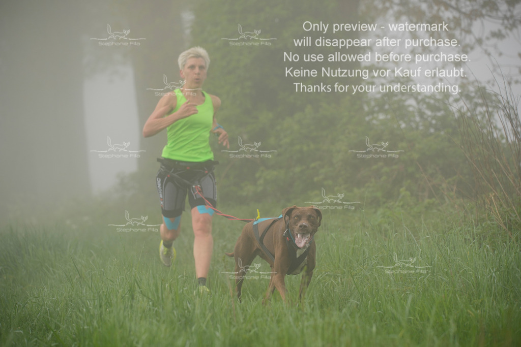 SA_GL2-100 | stephaniefillaphotographie - Realisiert mit Pictrs.com