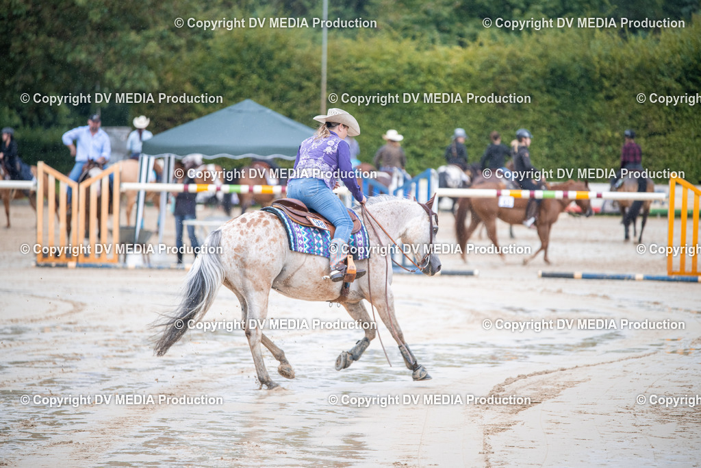 ZS2_4190 | dv-media-shop - Realisiert mit Pictrs.com