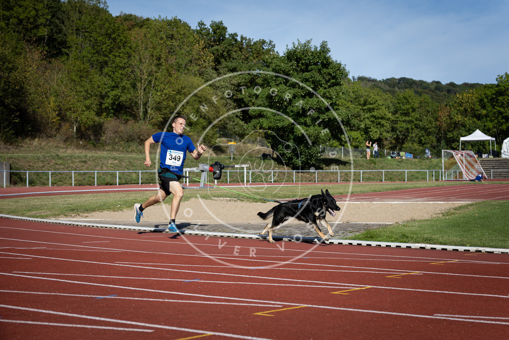 Pfotenfotografie_DV3A9173 | Hundefotografie, Tierfotograf, Pfotenfotografie, Fotoshooting Hund, Hunde Portrait, Hundesport, Hundeportraits, Heideshooting, Hunde, Sportfotograf, Hundefotograf, Turnierhundsport, THS,  - Realisiert mit Pictrs.com