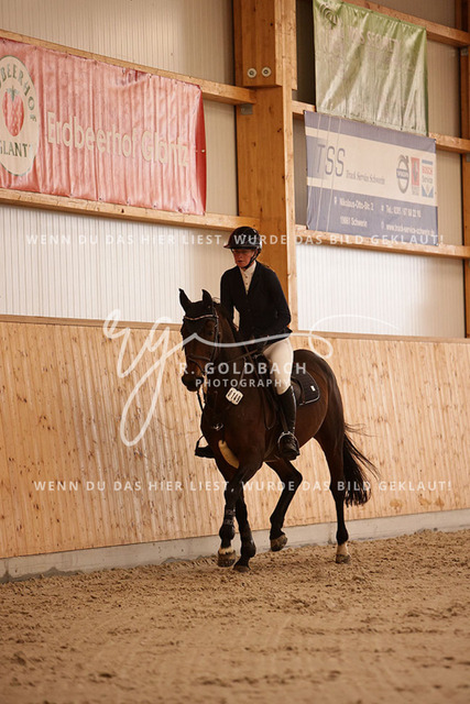 1J2A2717Hanna Nagel_ Rewell 2_ Kn441_ Hohen Wieschendorf_ Glantz | Foto- und Videografie für alles rund ums Pferd. Hochwertige Bilder und Videos vom Spring- und Dressurreiten, Voltigieren & mehr. Jetzt aktuelle Veranstaltungen und Preise im Shop ansehen. - Realisiert mit Pictrs.com