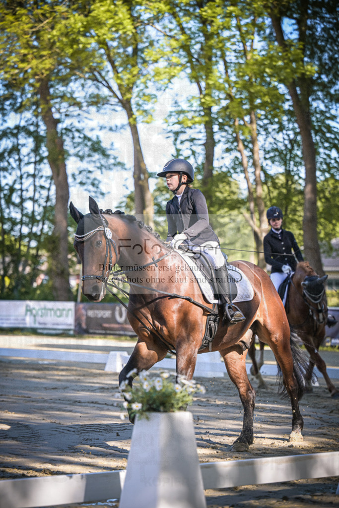 DOS_3028 | Entdecke hochwertige Reitturnierfotos von Foto Oger. Professionell, emotional und authentisch – jetzt Lieblingsmomente im Shop bestellen.Deutschlandweite Turnierfotografie. - Realisiert mit Pictrs.com