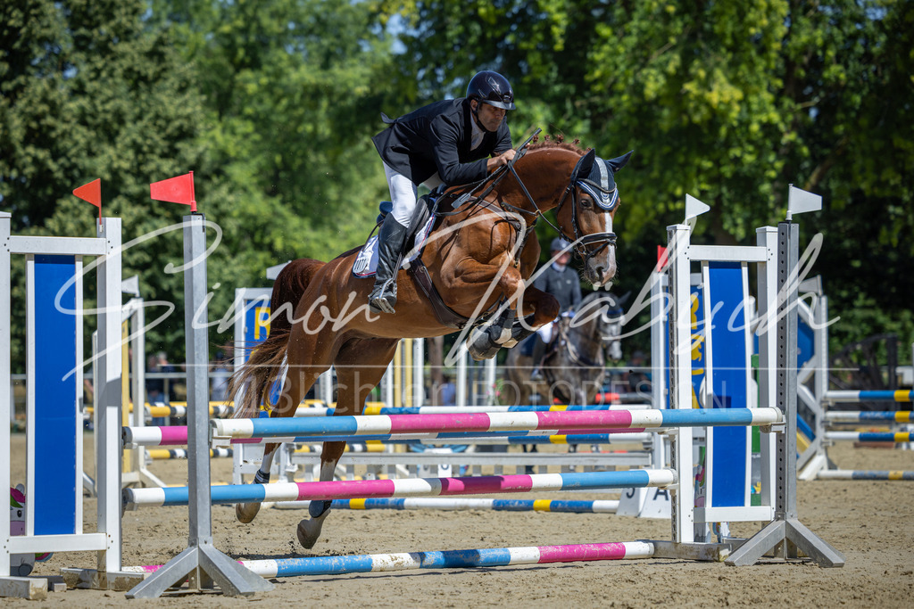 20260704-_3LI7926 | Tierfotografie Pferde, Hunde, Katzen, Haustiere.
Turnierfotografie Reitturniere, Reiten, Springreiten, Dressur in Hanau, dem Main-Kinzig-Kreis und dem Rhein-Main- Gebiet um Frankfurt