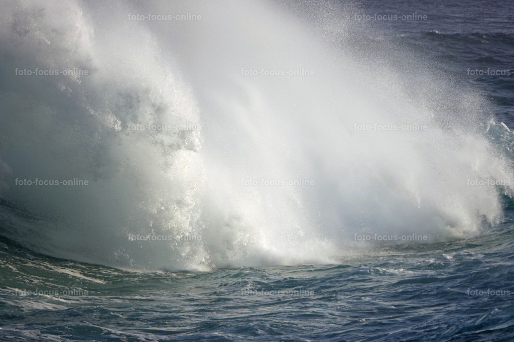 Wild Waves | Wild Waves Atlantic
