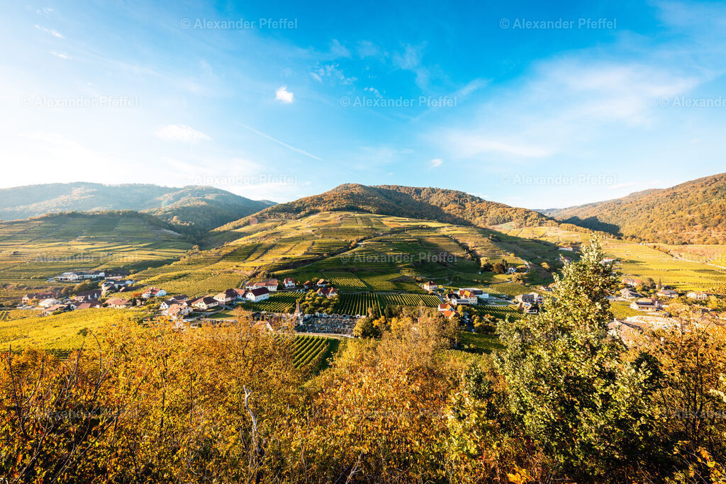 foto_c_pfeffel-partner-0083-R51_0221 | alexander-pfeffel - Realisiert mit Pictrs.com