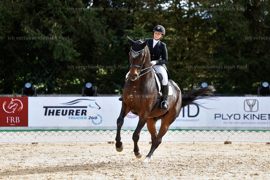 6-160-AMATUER-DRESSUR S_  -StoibPH-3449 | working equitationturnier fotograf videograf stoibphotography marixx film working equitation deutschland reitsport turnierfotografie eventfotografie equestrian events