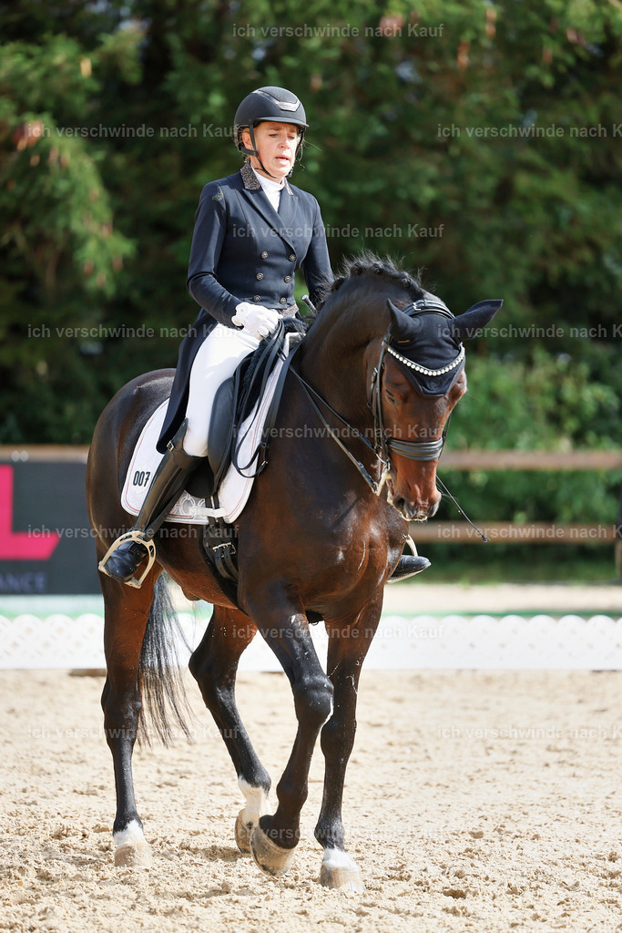 07-007-DRESSUR  S___  -StoibPH-5018 | working equitationturnier fotograf videograf stoibphotography marixx film working equitation deutschland reitsport turnierfotografie eventfotografie equestrian events