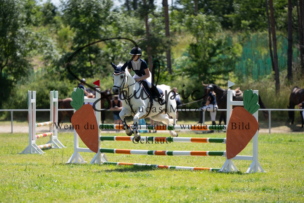 A7V05817 | Pferdefotograf