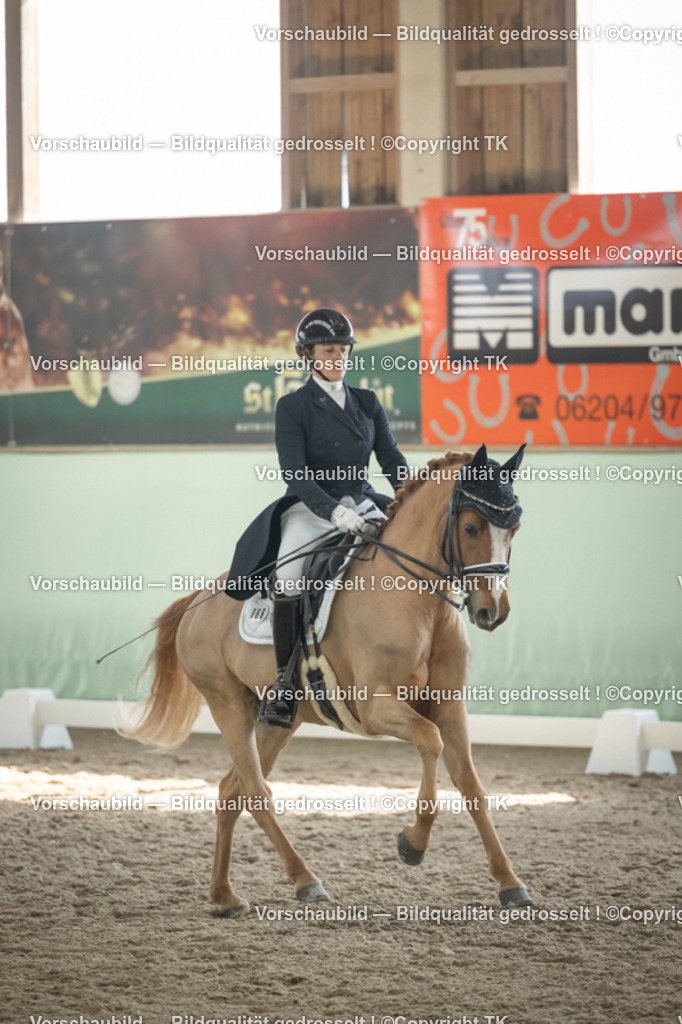 _D5A2382 | Emotionale Pferde- & People-Fotografie rund um Heidelberg, Leimen & Umgebung. Natürliche Fotos von Pferd, Mensch & Familie. Jetzt Termin sichern!