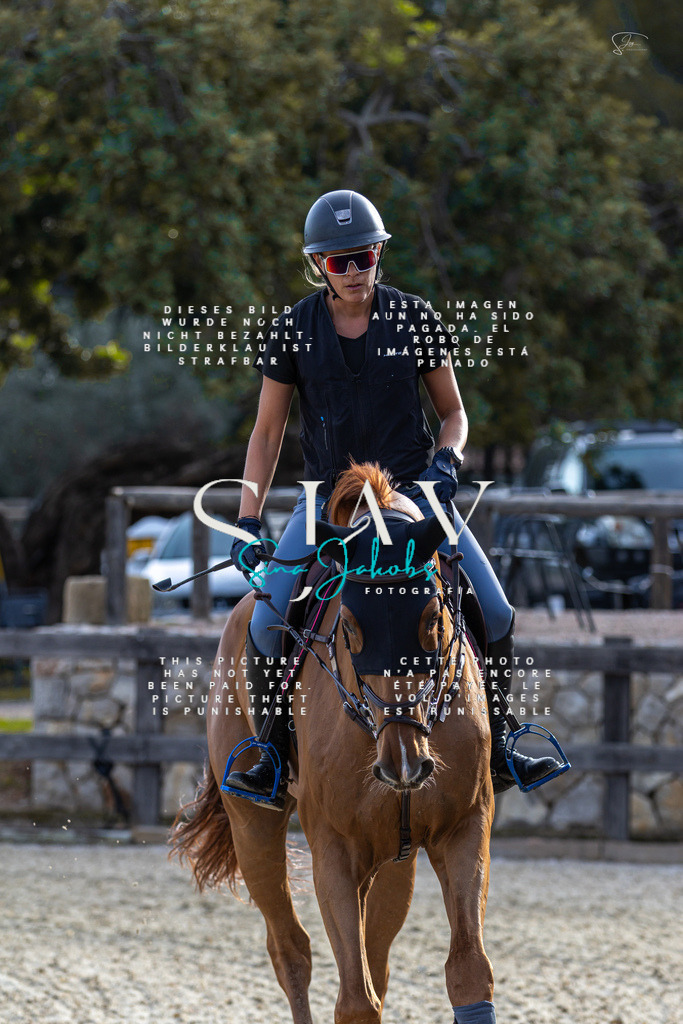 IMG_4509 | s-jay-photography - Realisiert mit Pictrs.com