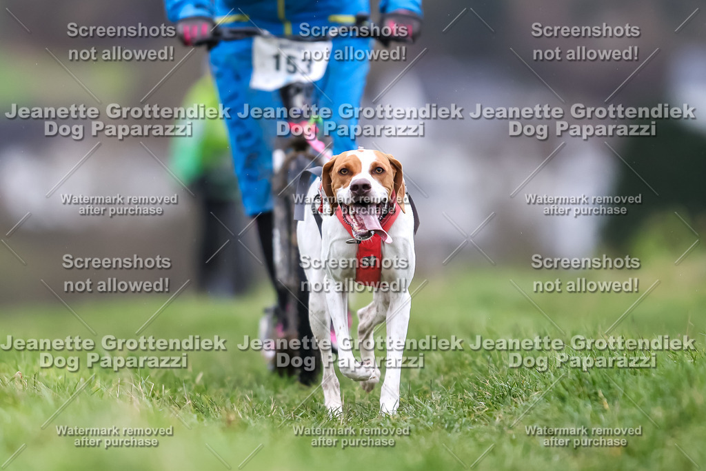 Dog Paparazzi - Herkules Race  2025-39 | Dog Paparazzi Jeanette Grottendiek Fotografie & Videografie