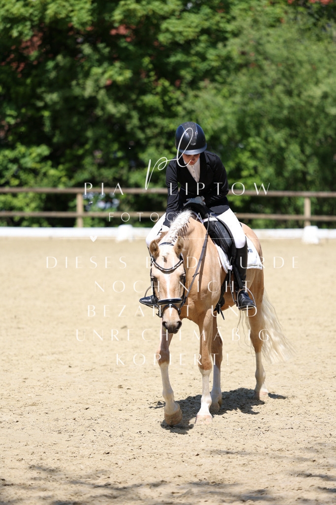 IMGS2941 | pl-fotografie