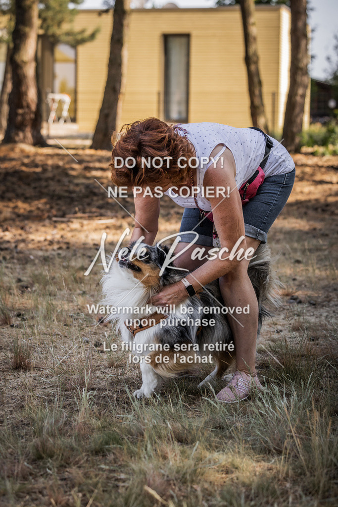 nelerasche_soDD1_230 | nelerasche