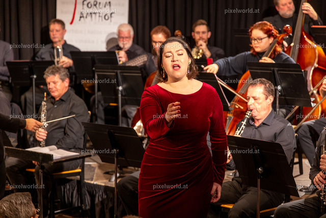 Neujahrskonzert | Bildershop von pixelworld.at - Realisiert mit Pictrs.com