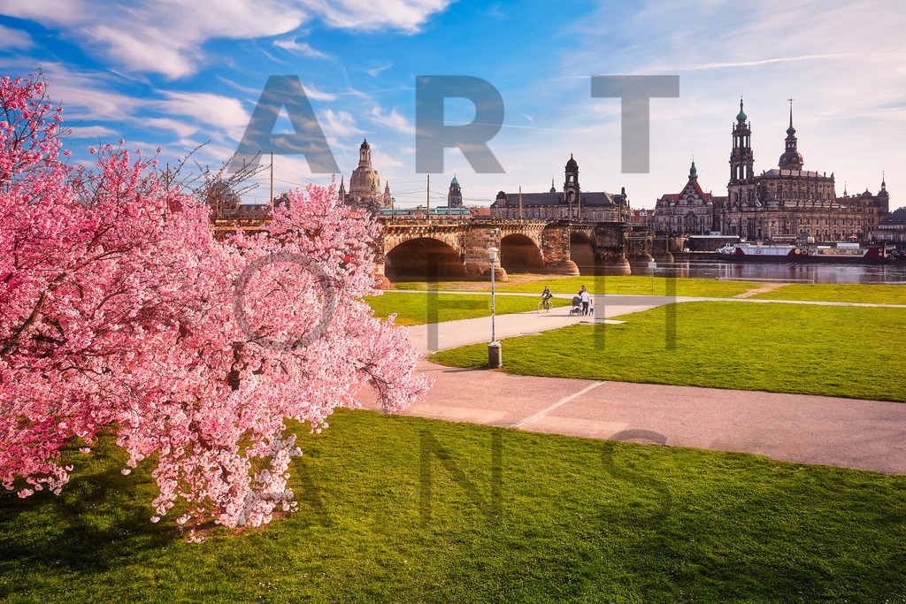 Ein Hans Fineart Original | Entdecke die Kunst von Hans Fineart - Fotografien für dein Zuhause. Verwandle deine Wände mit einzigartigen Kunstwerken und bringe die Schönheit der Welt in dein Leben. Bestelle jetzt und schaffe einen Ort der Inspiration und Eleganz.