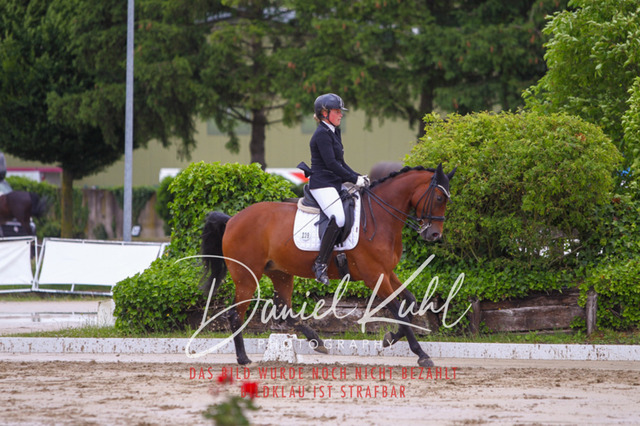 DKP40636 | Turniersportfotografie; Pferdefotografie; Dressurfotografie