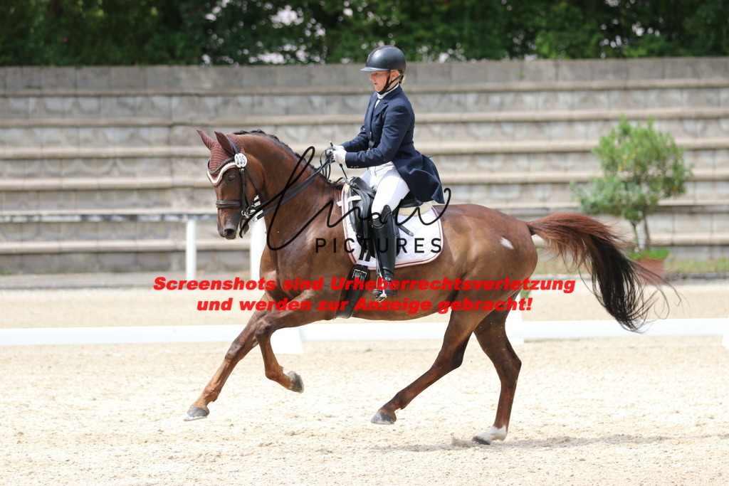 IMG_9807 | lmwpictures - Realisiert mit Pictrs.com