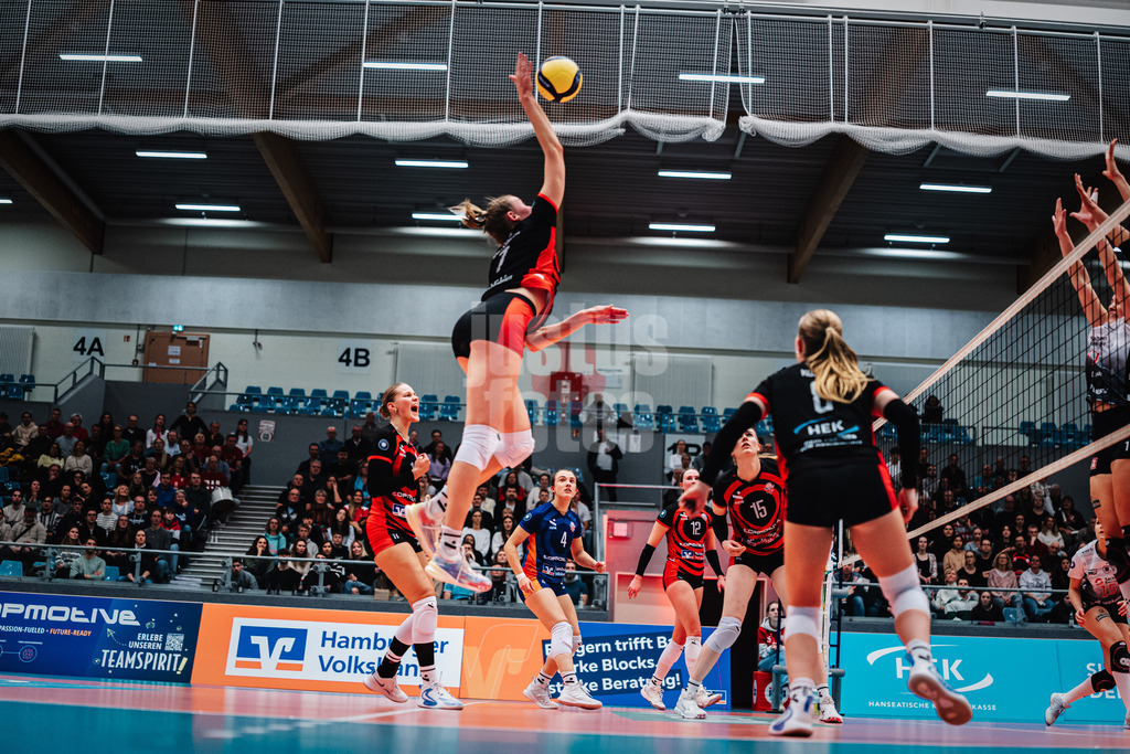 Volleyball | Frauen | Saison 2025/2026 | Volleyball Bundesliga | ETV Hamburger Volksbank Volleys vs. Dresdner SC | 15.11.2025 | Leonie Körtzinger (#7, ETV Hamburger Volksbank Volleys) beim Angriff