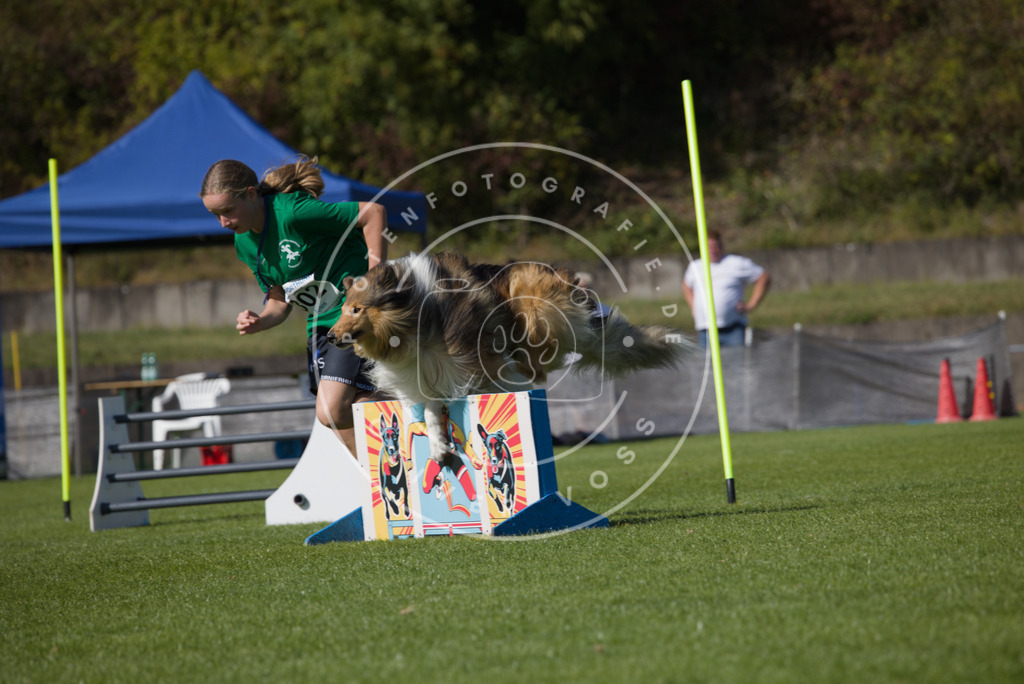 0L8A7701 | Hundefotografie, Tierfotograf, Pfotenfotografie, Fotoshooting Hund, Hunde Portrait, Hundesport, Hundeportraits, Heideshooting, Hunde, Sportfotograf, Hundefotograf, Turnierhundsport, THS,  - Realisiert mit Pictrs.com