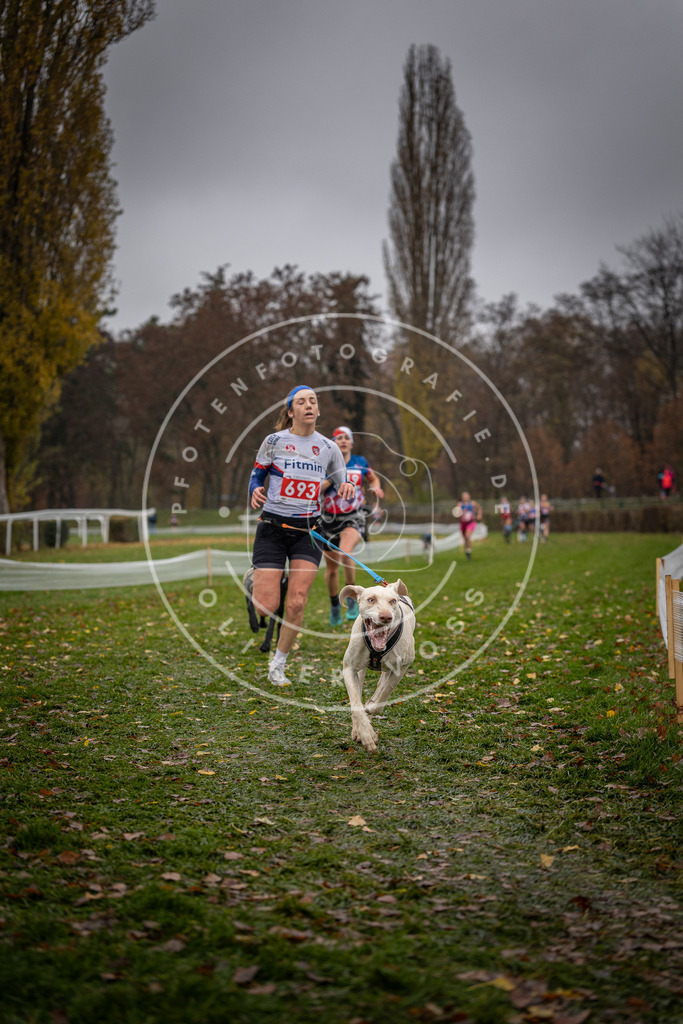 CaniXpix_DV3A9011 | Hundefotografie, Tierfotograf, Pfotenfotografie, Fotoshooting Hund, Hunde Portrait, Hundesport, Hundeportraits, Heideshooting, Hunde, Sportfotograf, Hundefotograf, Turnierhundsport, THS,  - Realisiert mit Pictrs.com
