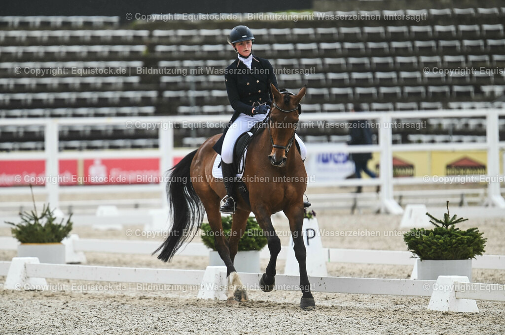 20230512_CCI4_Dressur_0101 | equistock