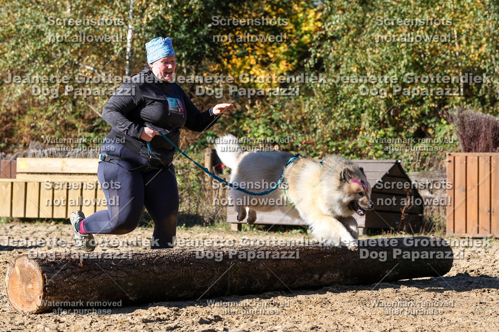 Dog Paparazzi - Strongdog 10-25-2568 | Dog Paparazzi Jeanette Grottendiek Fotografie & Videografie - Realisiert mit Pictrs.com