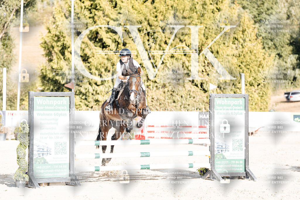 CK909501 | Turnierfotografie Pferdefotografie Trier Rheinland-Pfalz Pferdesport Reitsport Tierfotografie Sportfotografie Pferdevideo Pferdevideografie Equestrianvideography equestrianphotography  - Realisiert mit Pictrs.com