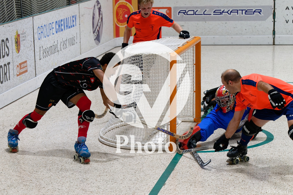 DSC_3765 | Velletri Photo