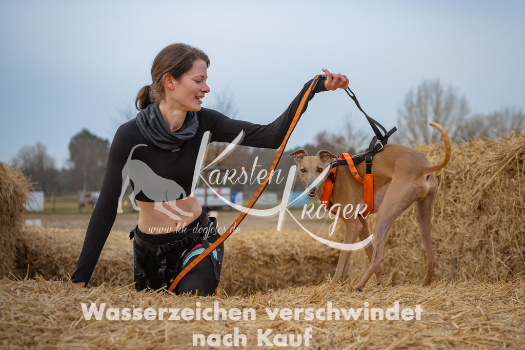 0833_ZZ93308 | kk-dogfotos