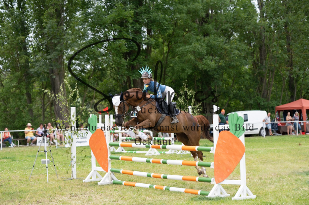 A7V07093 | Pferdefotograf