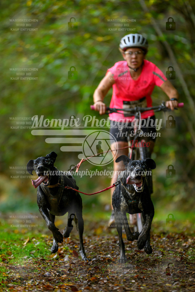 MompixPhotography_20TSB_E1_DS2-4 | PayLife