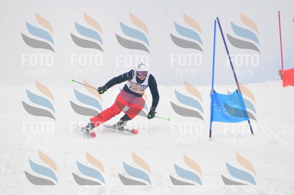 A6260 | holidayphoto