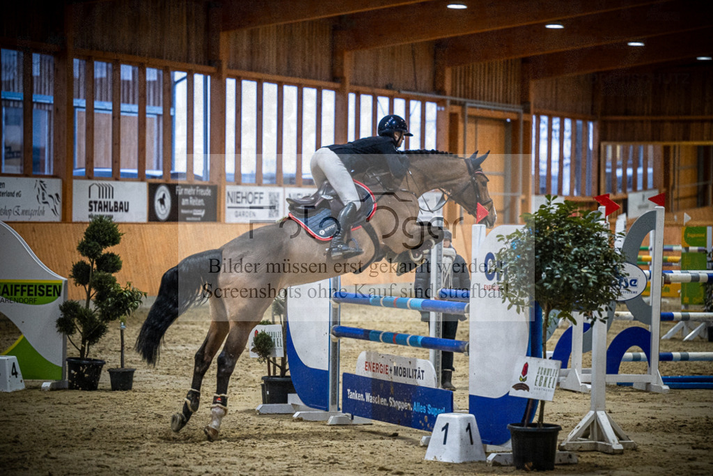 DOS_2502 | Entdecke hochwertige Reitturnierfotos von Foto Oger. Professionell, emotional und authentisch – jetzt Lieblingsmomente im Shop bestellen.Deutschlandweite Turnierfotografie. - Realisiert mit Pictrs.com