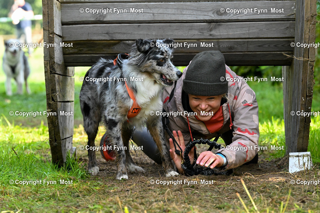DSC_5654 | Hallo und herzlich Willkommen auf meiner Shop-Seite Fynn Most.

Ich wünsche Dir viel Spaß beim stöbern durch die Bilder, wenn Du Fragen hast oder Bilder vermisst, kannst du mir gerne eine Nachricht schreiben. - Realisiert mit Pictrs.com