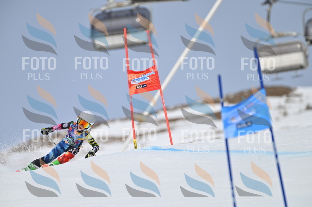 BGV_4775 | holidayphoto