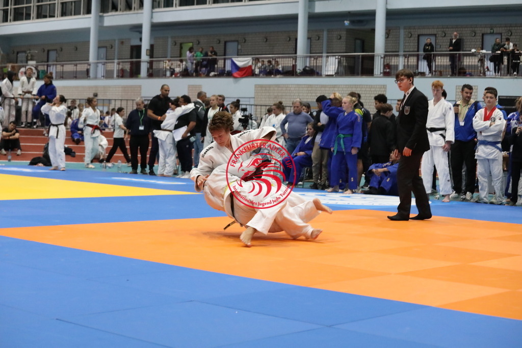 1J7A2519 | Fotos vom Adler Cup - Pictures from Adler Cup

Hier findet Ihr alle Eindrücke und großen Momente der Adler Cup Wochenenden. Here you will find all impressions and great moments of the Adler Cup weekends. - Realisiert mit Pictrs.com