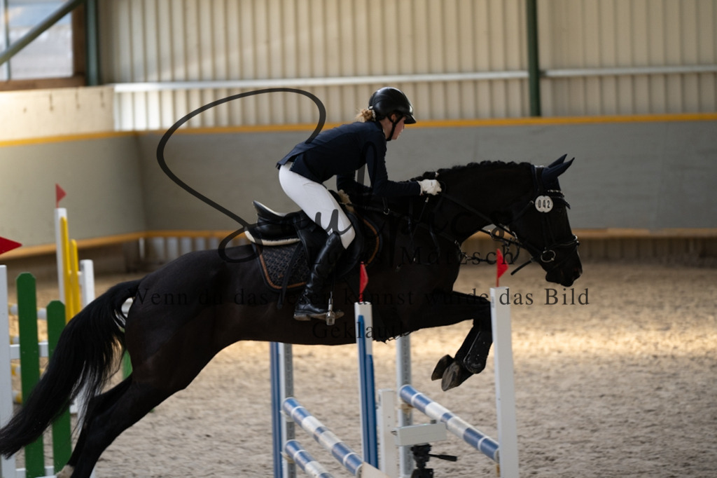 A7V02064 | Pferdefotograf