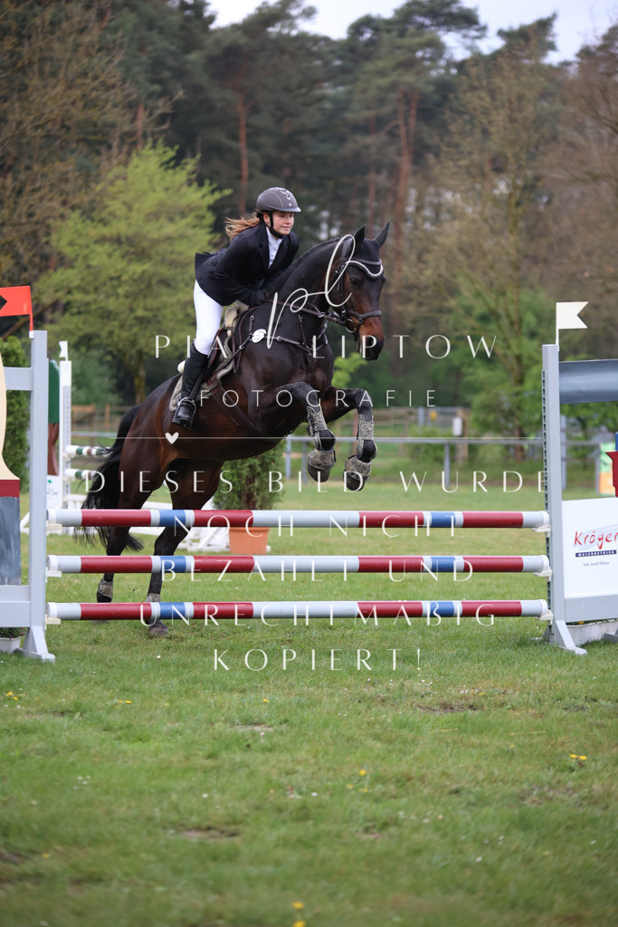 IMGT3205 | pl-fotografie