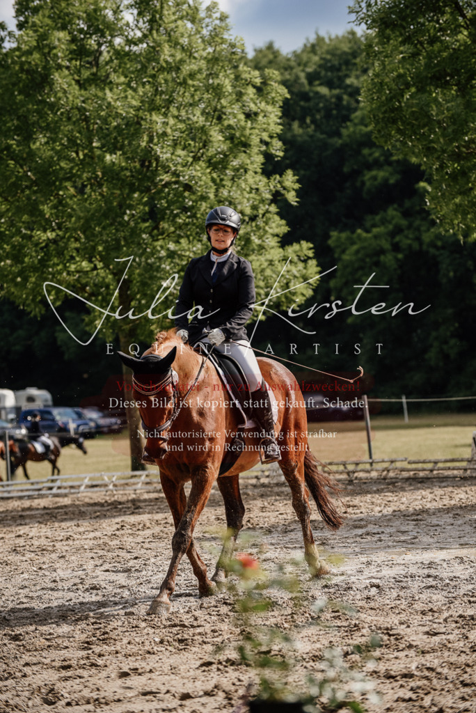 DSC_8919 | Pferde- und Turnierfotografie in Westsachsen. Pferdeportraits, Auftragszeichnungen und intuitive Kunst.