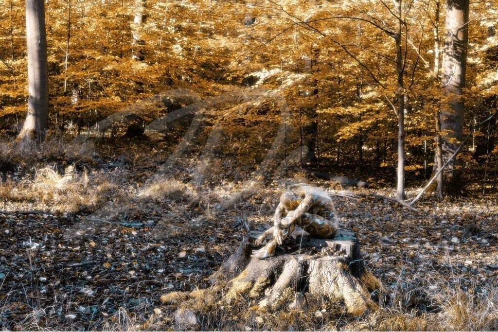 NatureArt-HERBSTLAUB_2713e2b | Wurzelmodell in braun |  #006 | Modell: Fee | Foto: Andreas Meier - Realisiert mit Pictrs.com